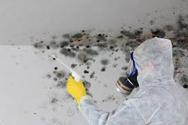 Best Attic Mold Removal  in Mcsherrystown, PA